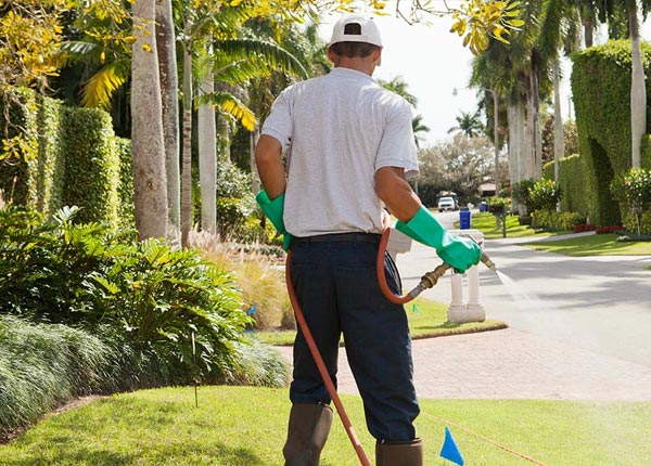 About Whitney TX Pest Control